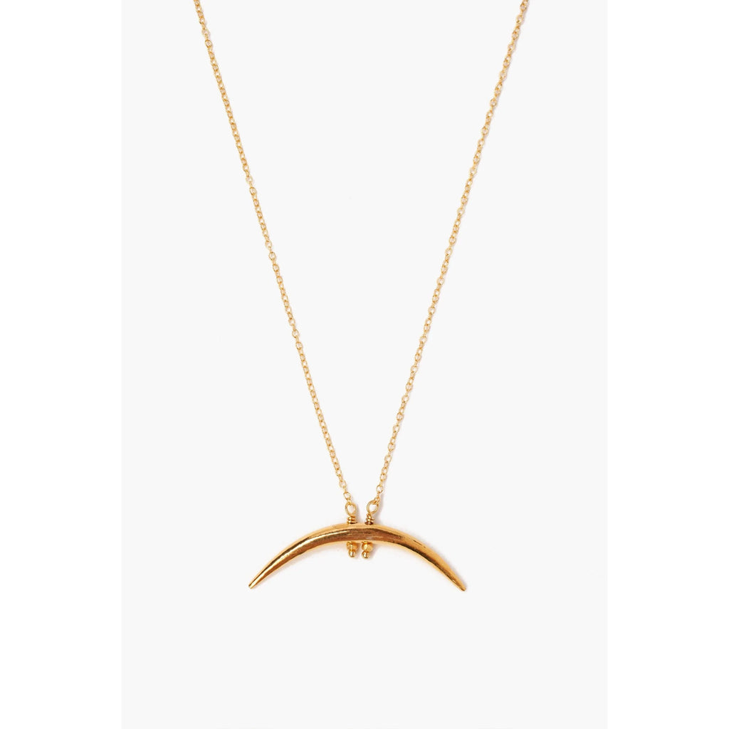 Yellow Gold Horn Necklace